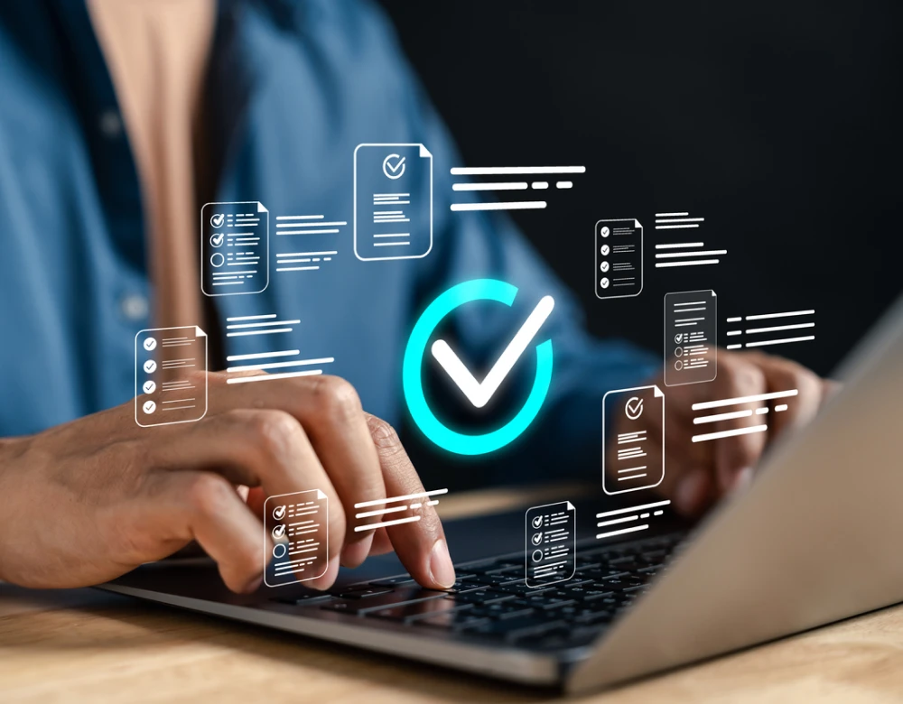 img it compliance services