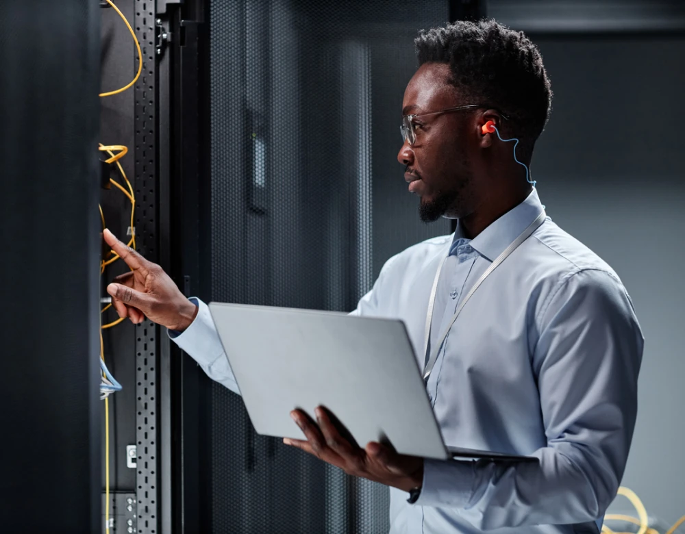 img it security assessment