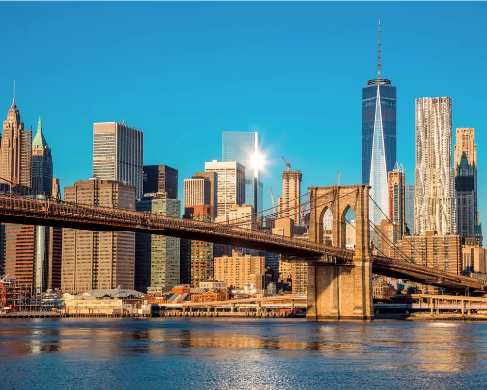 img your trusted partner for innovative it solutions